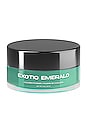 view 1 of 2 Exotic Emerald Dip Powder in Exotic Emerald
