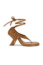 view 1 of 5 Flip Ruchi Sandal in Camel