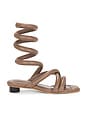 view 1 of 5 Roma Sandal in Cocoa