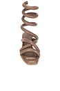 view 4 of 5 Roma Sandal in Cocoa