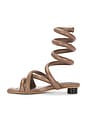 view 5 of 5 Roma Sandal in Cocoa