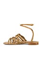 view 5 of 5 Mesh Sandal in Cappuccino