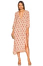 view 1 of 3 Isobel Dress in Cyprus Print Pink