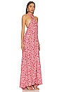 view 2 of 3 Astrid Maxi Dress in Gloriosa Print Flamingo
