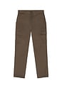 view 5 of 6 Mylo Cargo Pant in Mable Husk