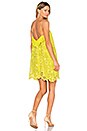 view 1 of 5 Lace Dress in Yellow