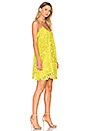 view 3 of 5 Lace Dress in Yellow
