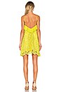 view 4 of 5 Lace Dress in Yellow