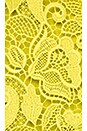 view 5 of 5 Lace Dress in Yellow