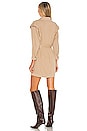view 3 of 3 Jeanne Dress in Dune