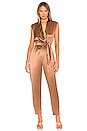 view 1 of 3 Joey Jumpsuit in Brown