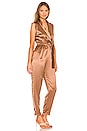 view 2 of 3 Joey Jumpsuit in Brown