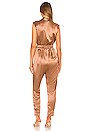 view 3 of 3 Joey Jumpsuit in Brown