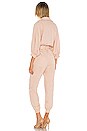 view 3 of 3 Harper Jumpsuit in Rose