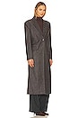 view 3 of 5 Halia Coat in Brown Stripe
