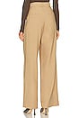 view 3 of 4 Fabi Wide Leg Pant in Camel