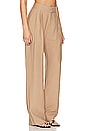 view 2 of 4 Fallon Pant in Camel