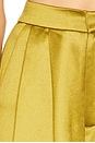 view 7 of 7 Paris Pant in Ochre