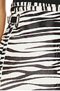 view 6 of 6 Saskia Skirt in Zebra