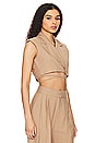 view 2 of 4 Hailey Crop Top in Camel