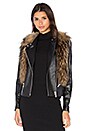 view 1 of 6 Flashing Lights Jacket with Asiatic Raccoon Fur in Natural Raccoon Fur & Black Leather