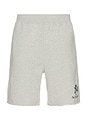 view 1 of 5 Nyp Sweatshort in Grey Marl