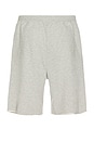 view 2 of 5 Nyp Sweatshort in Grey Marl