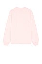 view 2 of 4 No Problemo Long Sleeve Tee in Pale Pink