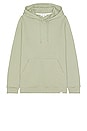 view 1 of 3 Vagn Classic Hoodie in Sunwashed Green