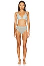 view 4 of 4 Bliss Allure One Size Lace Thong in Meadow