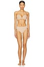 view 6 of 6 Bliss Bare Cotton Thong 3-pack in Café