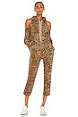view 4 of 4 PANTALON CLARENCE in Taupe Leopard