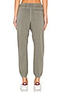 view 3 of 4 Sayde Pant in Pigment Army