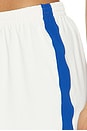 view 7 of 6 Stretch Knit Short in Ivory & Cobalt
