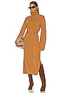 view 1 of 3 Canaan Dress in Camel