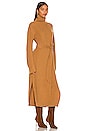 view 2 of 3 Canaan Dress in Camel
