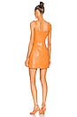 view 4 of 4 Inara Dress in Orange