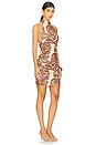 view 2 of 3 Denica Dress in Caramel Ribbon