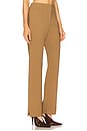 view 2 of 6 Cybel Pant in Brown