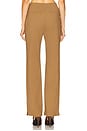 view 4 of 6 Cybel Pant in Brown