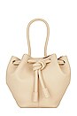 view 1 of 4 Small Elongated Bucket Bag in Ivory
