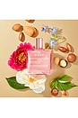 view 4 of 4 HUILE PRODIGIEUSE FLORAL MULTI-PURPOSE DRY OIL 1.6 FL.OZ. 드라이 오일 in 