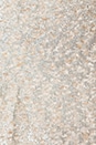 view 6 of 6 2 Tone Cut Out Dress in Taupe Shimmer/Taupe in Taupe Shimmer & Taupe