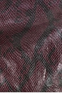 view 6 of 5 Python Leather Blazer in Burgundy Python