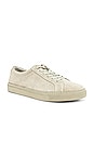 view 2 of 6 Kurt Sneaker in Taupe