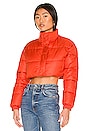 view 2 of 5 Super Cropped Puffer Jacket in Prosperity