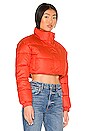 view 3 of 5 Super Cropped Puffer Jacket in Prosperity