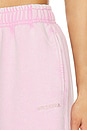 view 6 of 6 Estelle Pant in Washed Pink