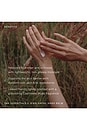view 4 of 7 Jenni Kayne X Oak Essentials Hand Lotion in 