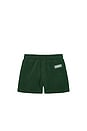 view 2 of 2 Kids Terry Shorts in Green